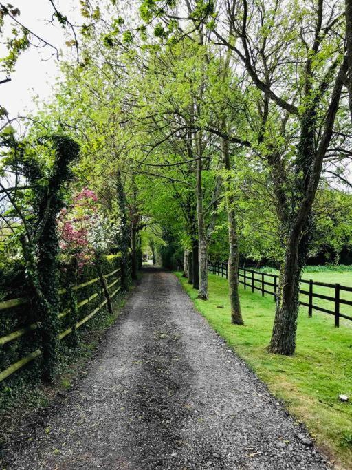 Northdown Lodge - Stunning Property On The Kent Northdowns Hollingbourne Dış mekan fotoğraf